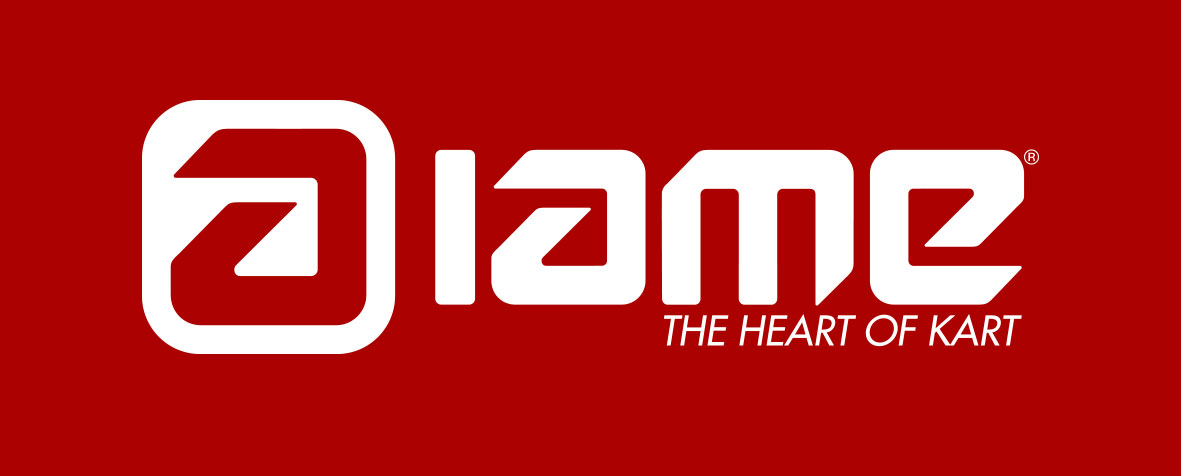 LogoIAME-horiz-color-background